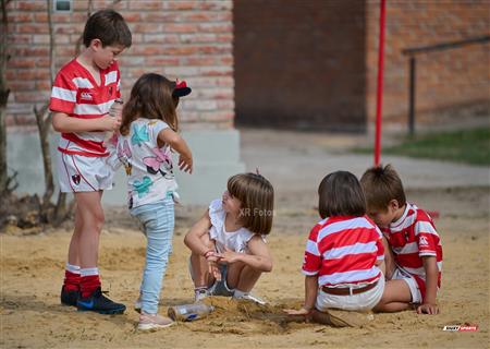 URBA 2024 - TOP 12 Intermedia - ALUMNI (54) VS (10) Atlético del Rosario