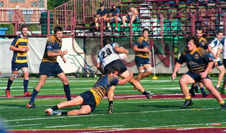 RQ 2018 - Final Prov 1 Masc - TMR RFC (62) vs (31) Parc Olympique Rugby