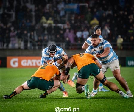 Rugby Championship 2024 - Argentina Pumas (19) vs (20) Australia Wallabies