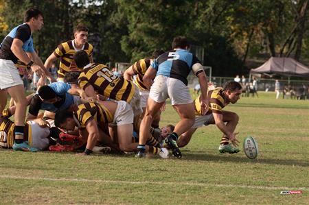 URBA 2024 - Club Universitario de Buenos Aires (41) vs (42) Belgrano Athletic