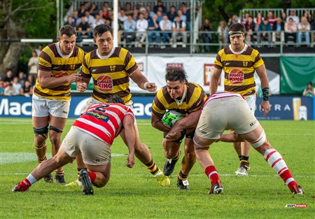 URBA 2024 - Top 12 - Final - Belgrano Athletic (17) vs (20) Asociacion Alumni