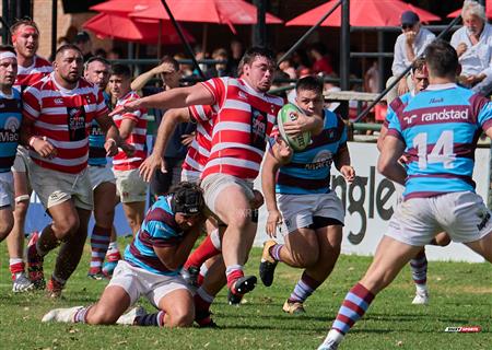 URBA 2024 - TOP 12 Intermedia - ALUMNI (54) VS (10) Atlético del Rosario