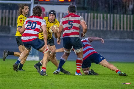 FER 2024 - DHB - Getxo RT (35) vs (14) Universitario Bilbao Rugby