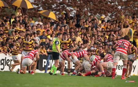 URBA 2024 - Top 12 Superior - Alumni (9) vs (22) Belgrano Athletic Club