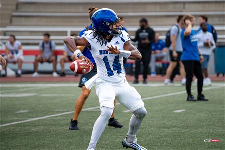 RSEQ 2024 Football - McGill Redbirds (8) vs (47) Université de Montréal Carabins