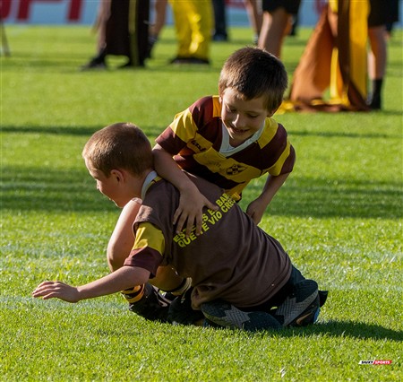 URBA 2024 - Top 12 - Final - Belgrano Athletic (17) vs (20) Asociacion Alumni