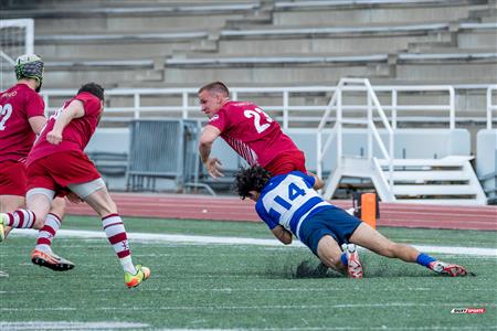 ECRC 2024 - Rugby Québec (38) vs (22) Rock Newfoundland -  Match