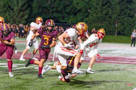 RSEQ 2024 Football - Stingers (11) vs (36) Rouge-et-Or - 2nd half