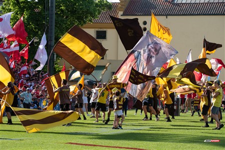 URBA 2024 - Top 12 - Final - Belgrano Athletic (17) vs (20) Asociacion Alumni