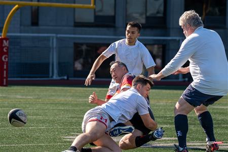 2024 McGill Alumni Rugby Reunion
