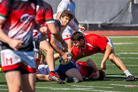 2024 McGill Alumni Rugby Reunion