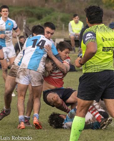 URBA 2024 - 1ra C - Areco RC (10) vs (45) Centro Naval