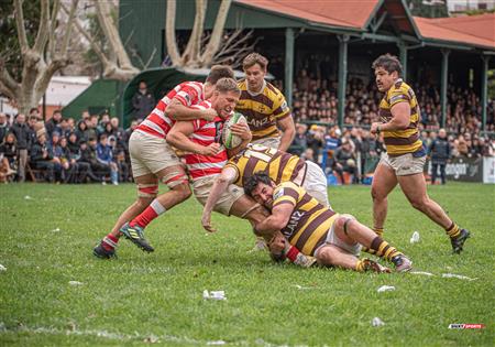 URBA Top12 - Belgrano Athletic (35) vs (23) Alumni