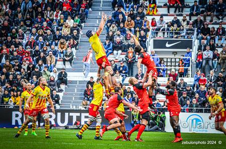 TOP 14 - Toulon (44) vs (22) Perpignan