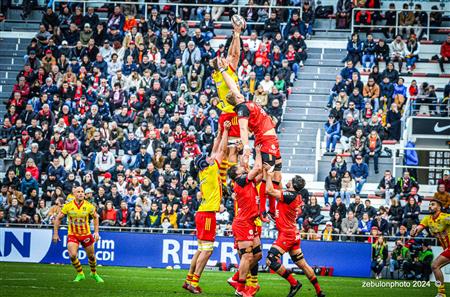 TOP 14 - Toulon (44) vs (22) Perpignan