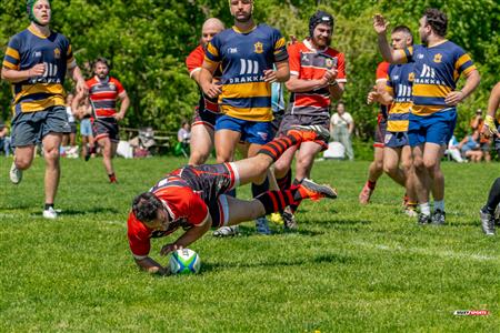 RQ 2024 - Super Ligue M Rés - Beaconsfield RFC (17) vs (17) Town of Mount Royal RFC