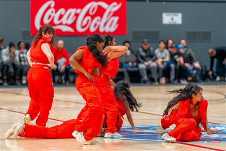 BSL - Montreal Toundra vs Frederick Flying Cows - Before game and half time show