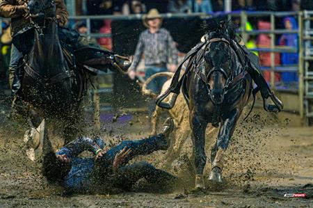 2024 - Rodéo Sainte Catherine de la Jacques Cartier, par Steve Plante