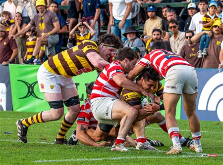 URBA 2024 - Top 12 - Final - Belgrano Athletic (17) vs (20) Asociacion Alumni