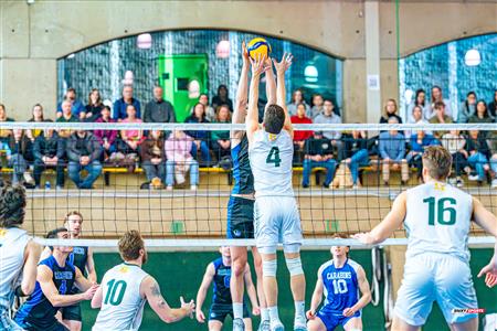 RSEQ - 2024 VOLLEY M - U DE MONTRÉAL (1) VS (3) U DE SHERBROOKE - Reel 1