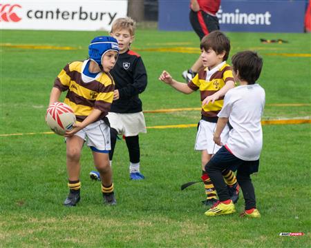 URBA 2024 - Top 12 Superior - Alumni (9) vs (22) Belgrano Athletic Club