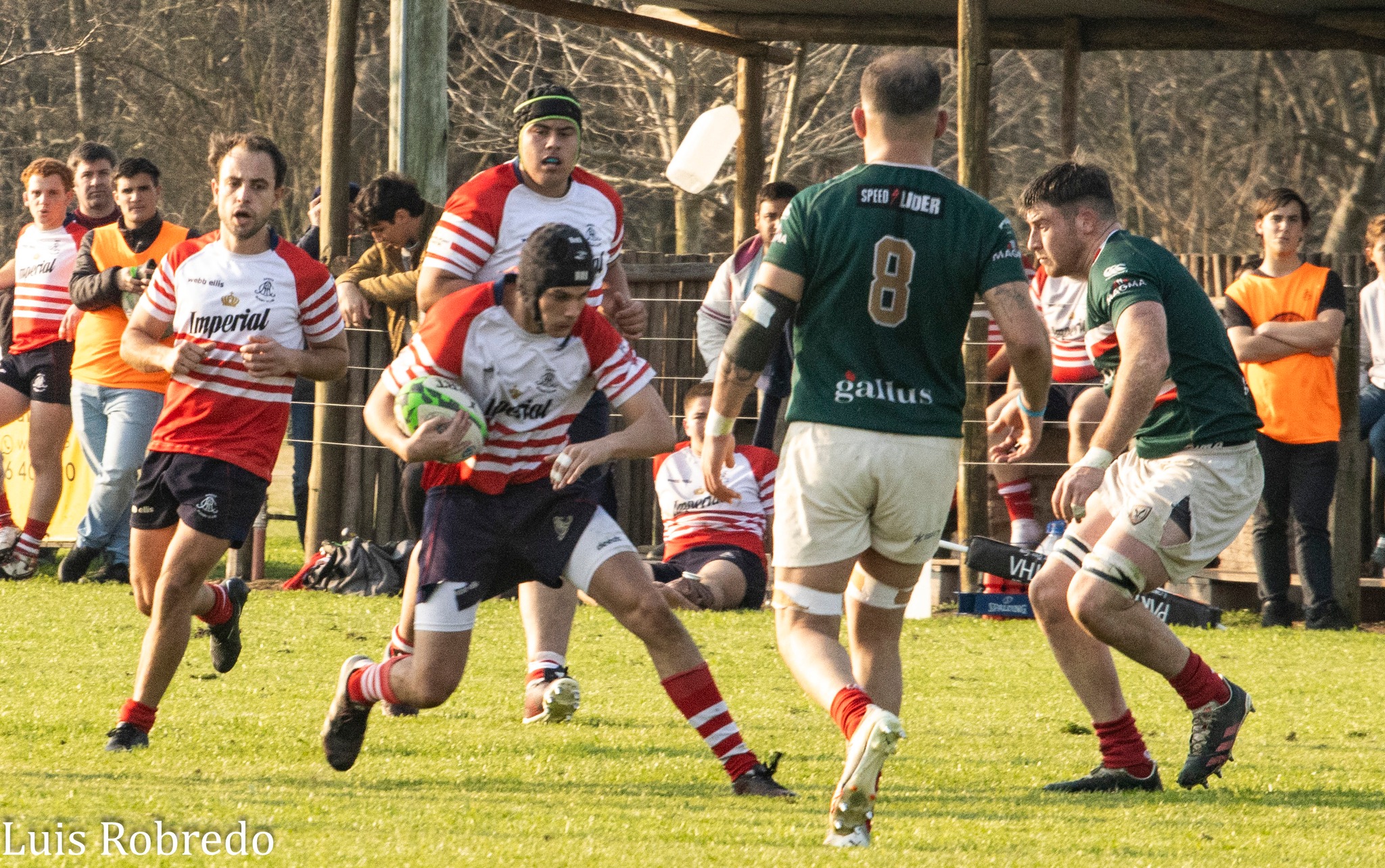  Areco Rugby Club - Sociedad Italiana de Tiro al Segno - Rugby - URBA 2024 - 1C - Areco (14) vs (59) SITAS (#URBA241CARESIT08) Photo by: Luis Robredo | Siuxy Sports 2024-08-17