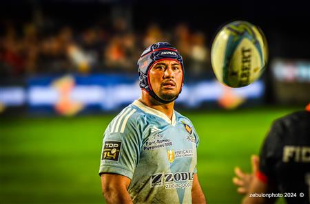 TOP 14 - Perpignan (27) vs (17) RC Toulonnais