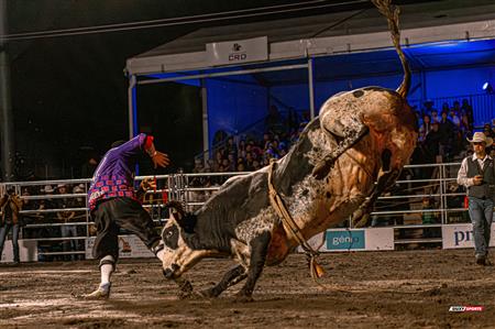 2024 - Rodéo Sainte Catherine de la Jacques Cartier, par Steve Plante