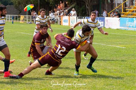 UAR - Nacional de Clubes 2019 - Tucuman Lawn Tennis vs Palermo Bajo