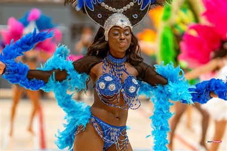 TBL - Montreal vs Sudbury - Before the Match and Half Time Show