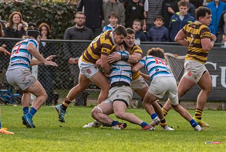 URBA 2024 - Top 12 Superior - San Isidro Club (34)  vs (31) Belgrano Athletic Club