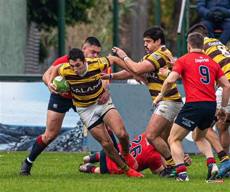 URBA - Top12 2023 - Pucara (14) vs (39) Belgrano Athletic