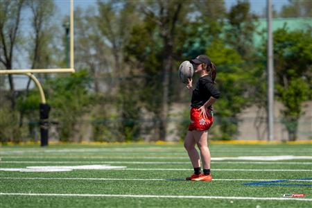 RQ 2024 - Super Ligue F - TMR (5) - (74) Club de Rugby de Québec