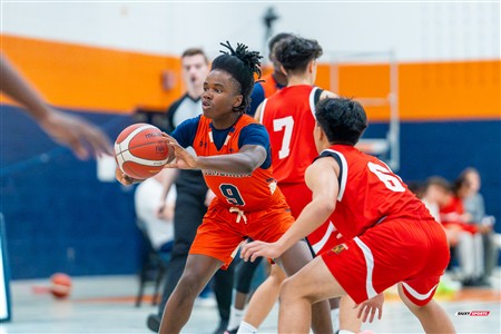 RSEQ 2024 - Basketball M D2 - André Laurendeau (74) vs (81) Vanier - 1st half