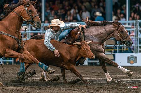 2024 - Rodéo Sainte Catherine de la Jacques Cartier, par Steve Plante
