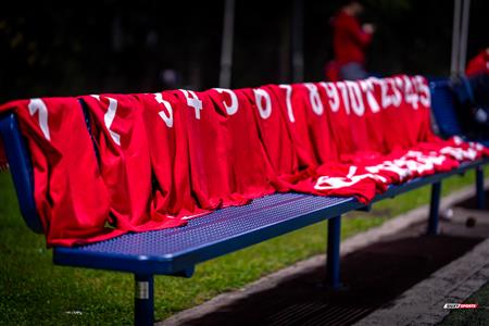 RSEQ 2024 - Rugby M - Université de Montréal (6) vs (24) McGill University