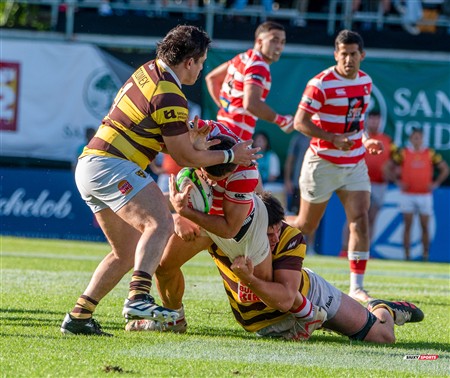 URBA 2024 - Top 12 - Final - Belgrano Athletic (17) vs (20) Asociacion Alumni