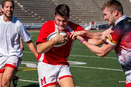 2024 McGill Alumni Rugby Reunion