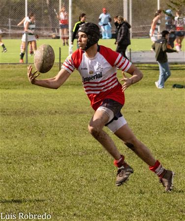 URBA 2024 - 1ra C - Areco RC (10) vs (45) Centro Naval