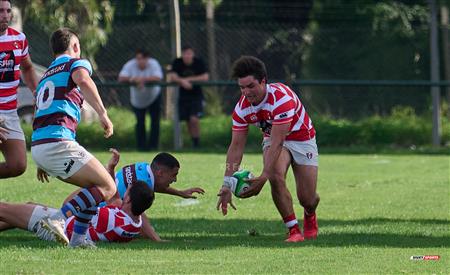 URBA 2024 - TOP 12 SUPERIOR - ALUMNI (37) VS (8) Atlético del Rosario