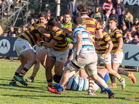 URBA 2024 - Top 12 Superior - San Isidro Club (34)  vs (31) Belgrano Athletic Club