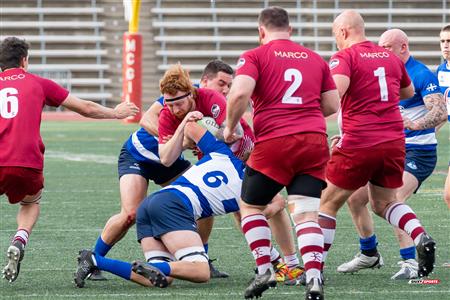 ECRC 2024 - Rugby Québec (38) vs (22) Rock Newfoundland -  Match