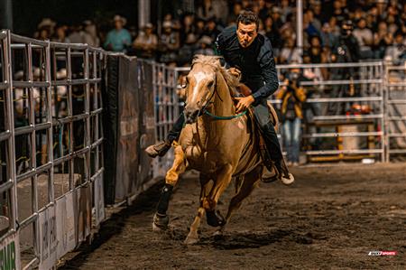 2024 - Rodéo Sainte Catherine de la Jacques Cartier, par Steve Plante