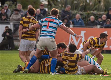 URBA 2024 - Top 12 Superior - San Isidro Club (34)  vs (31) Belgrano Athletic Club