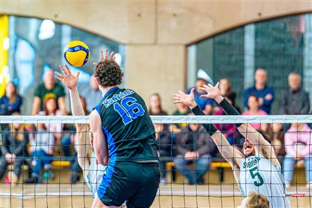 RSEQ - 2024 VOLLEY M - U DE MONTRÉAL (1) VS (3) U DE SHERBROOKE - Reel 2