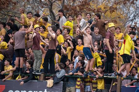 URBA 2024 - Top 12 Superior - Alumni (9) vs (22) Belgrano Athletic Club