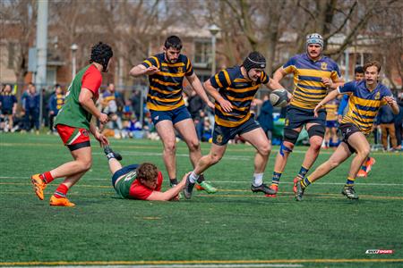 RQ 2024 - Match Pré-Saison - Rugby Club Montréal (19) vs (29) Town of Mount Royal - M