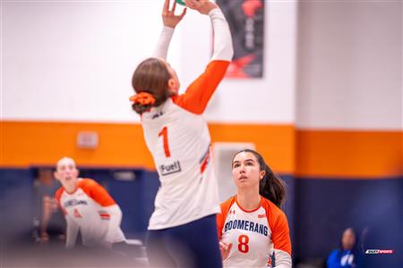 RSEQ - 2024 VOLLEY F D1 - ANDRÉ LAURENDEAU (1) VS (3) OUTAOUAIS - Reel 2