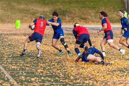 RSEQ 2024 - Rugby démi finale M - ETS (53) vs (13) UdM 