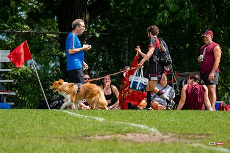 RQ 2024 - LPR1 M2 - Westmount RC (10) vs (41) Sainte-Anne-de-Bellevue RFC